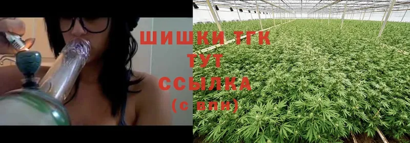 где купить наркоту  Межгорье  Канабис White Widow 